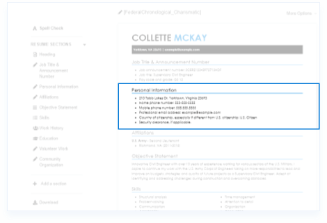 Federal Resume Template