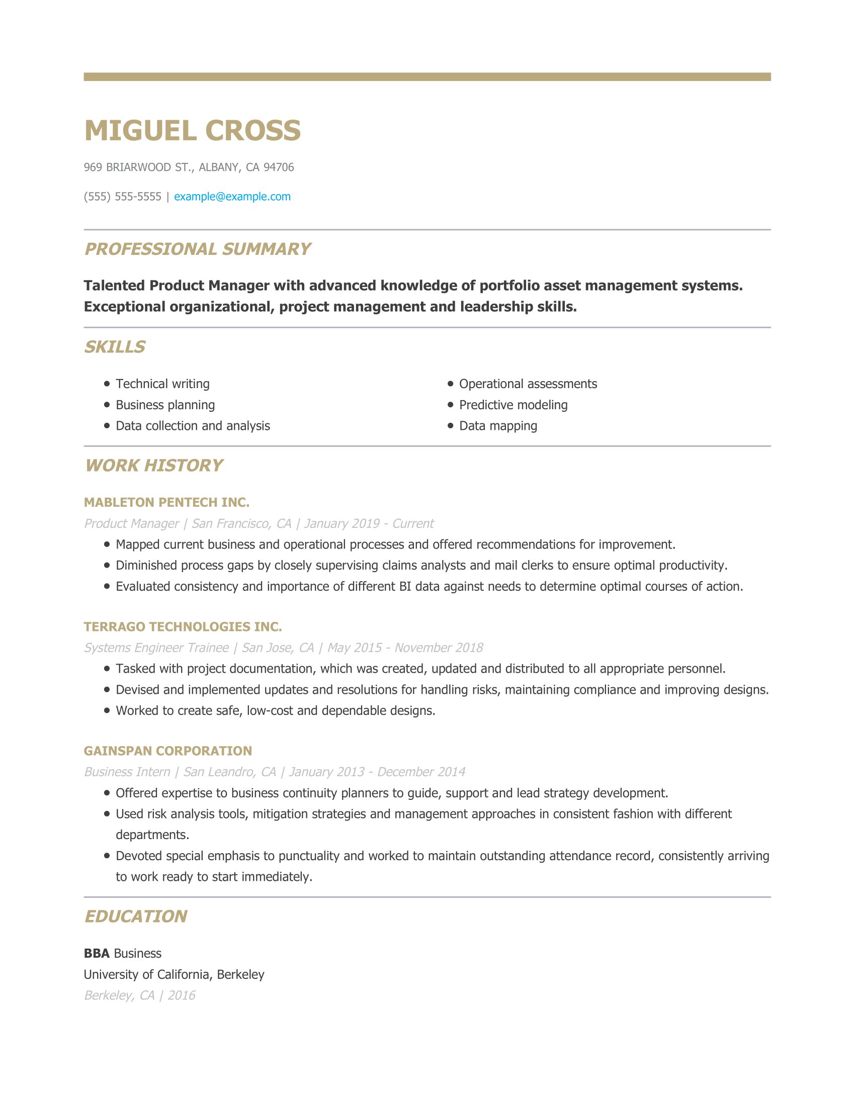 Product Manager Chronological Resume Example