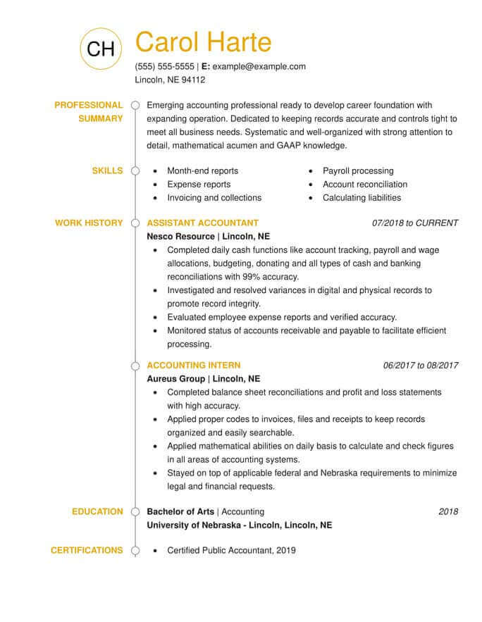 Professional Accounting combination Resume Example