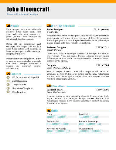 Blogging Professional Business Development Manager Resume Sample