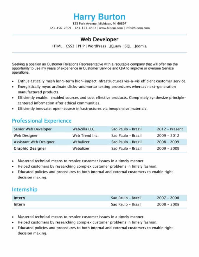 Professional Customer Service Relations Resume Template