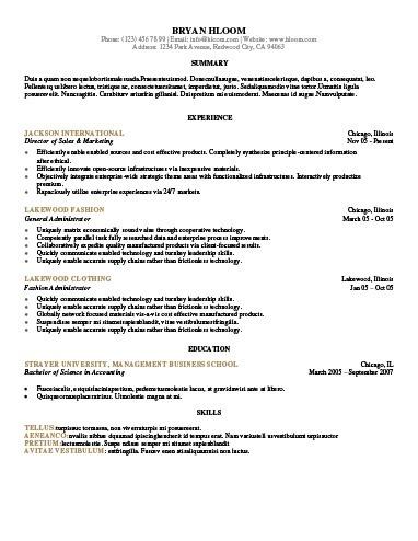 Professional Director of Sales and Marketing Resume Template