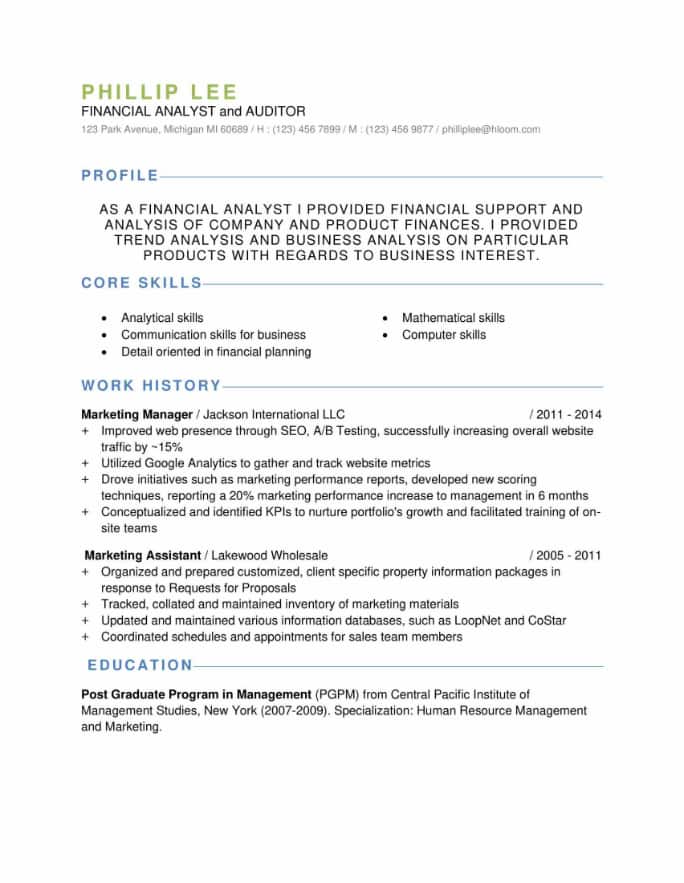 Professional Financial Analyst and Auditor Resume Sample