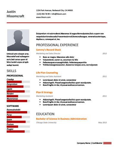 Professional Sales Manager Resume Example