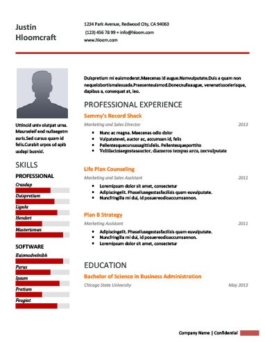 Little Spaces Professional Sales Manager Resume Template