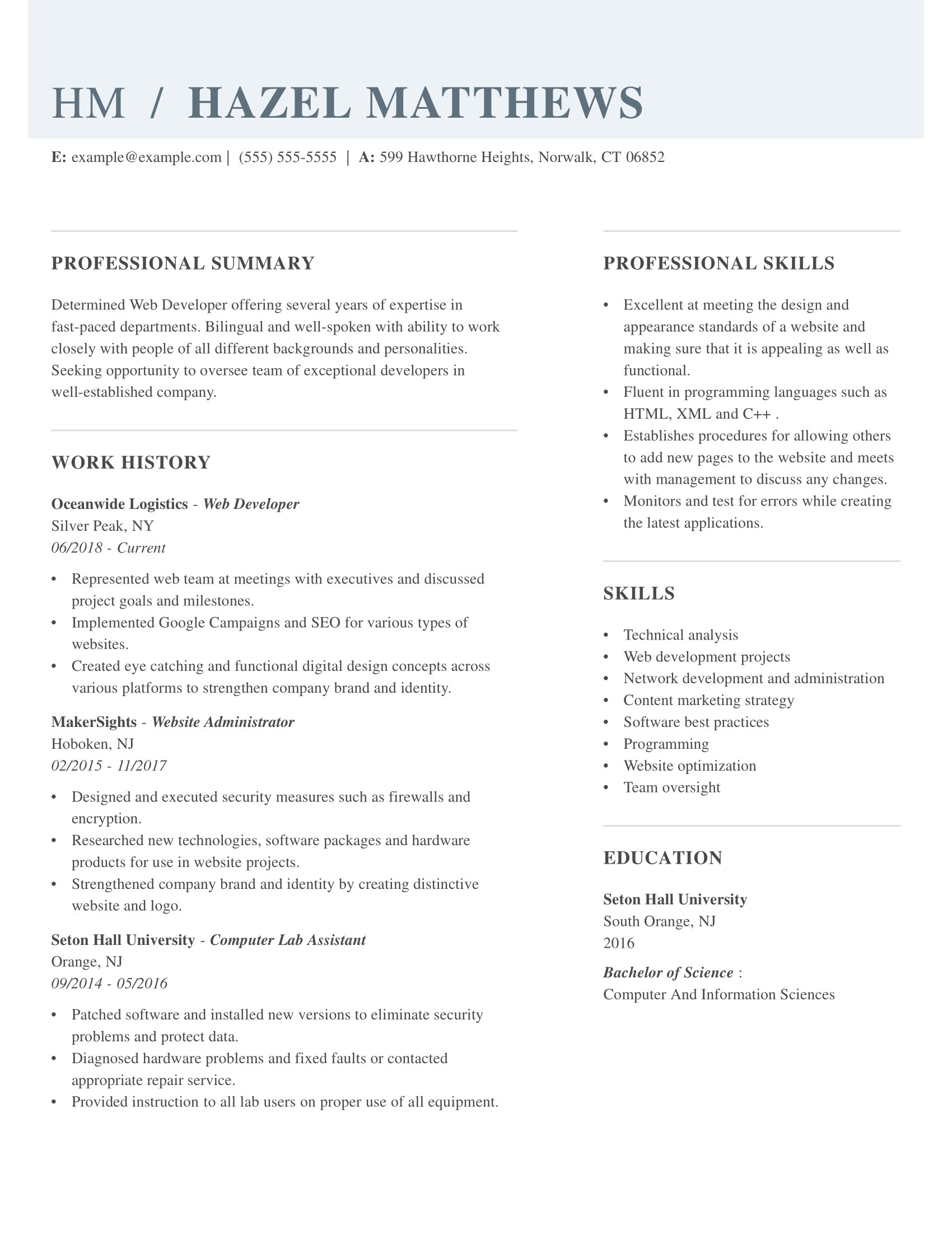 Professional Web developer Resume template
