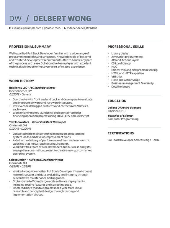 Qualified Professional Full Stack Developer Combination Resume Template