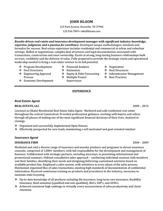 Real Estate and Insurance Agent resume template