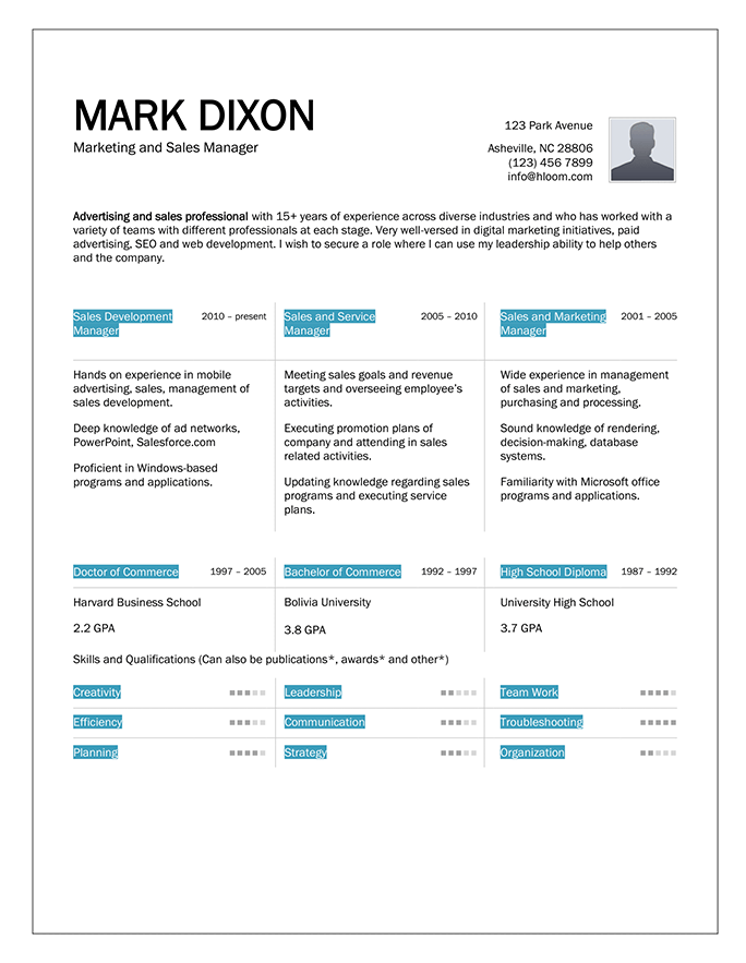 Sales and Marketing Manager Chronological Resume Sample