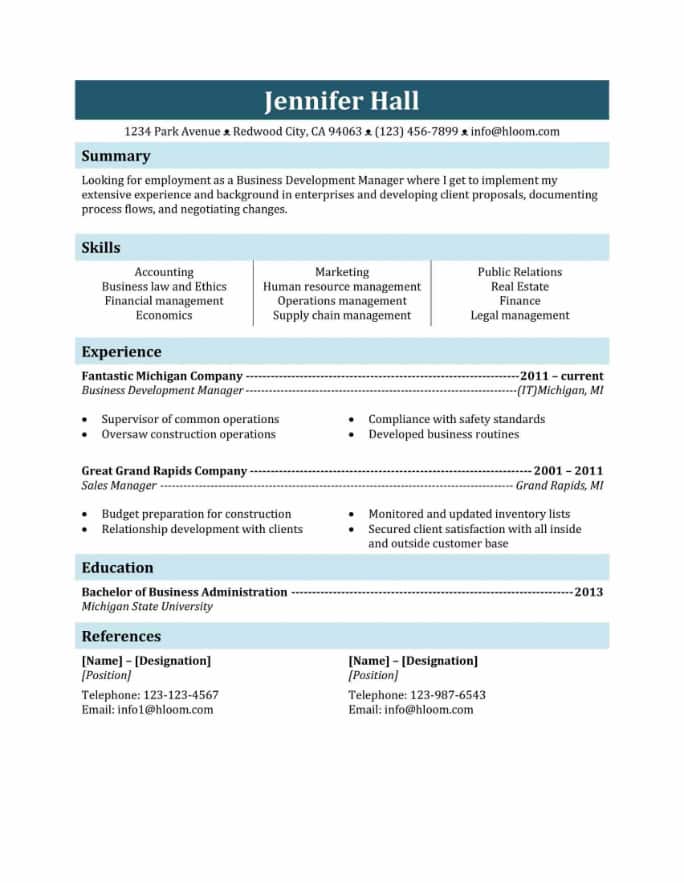 Business Development manager resume example