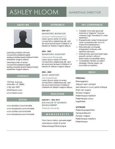 Slated for the Job Senior Marketing Director Resume Template