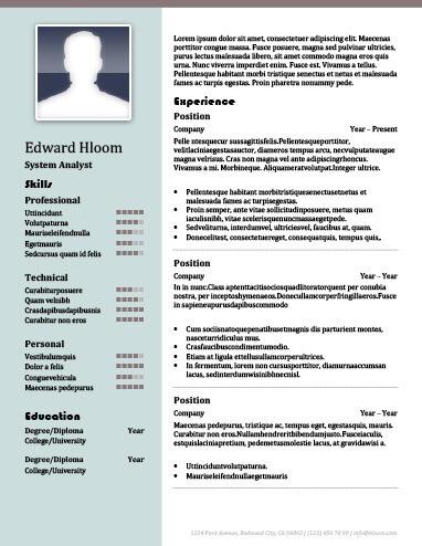System Analyst Resume Template