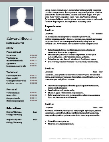 Marquee System Analyst Resume Template