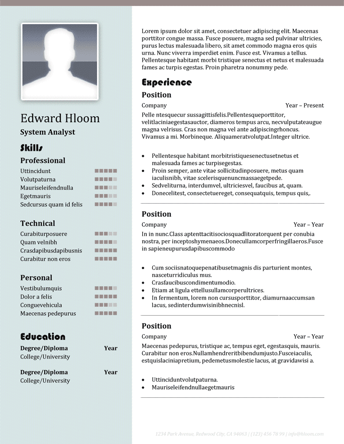System Analyst Resume Template