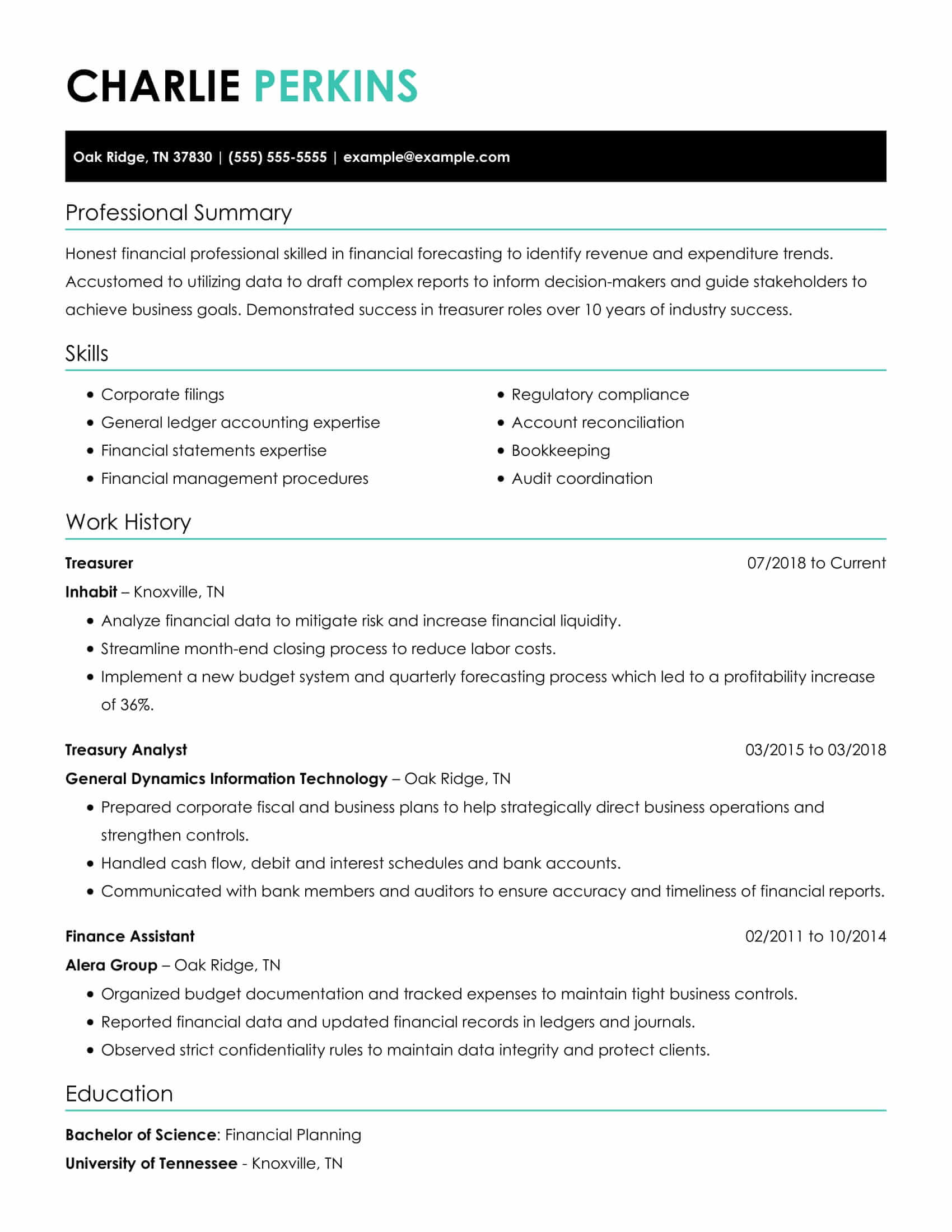 treasurer resume example